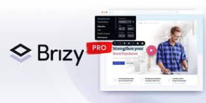 Brizy Pro Plugin Lifetime Deal With Original Licence