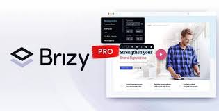 Brizy Pro Plugin Lifetime Deal With Original Licence Brizy Pro Plugin Lifetime Deal With Original Licence