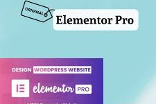 Elementor Pro Exclusive Deal With Original Licence
