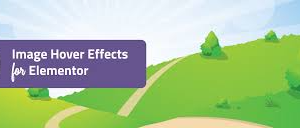 Image Hover Effect WordPress Plugin for Elementor