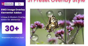Image Overlay WordPress Plugin For Elementor