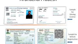sample Original License