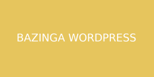 Bazinga - Creative WordPress Theme