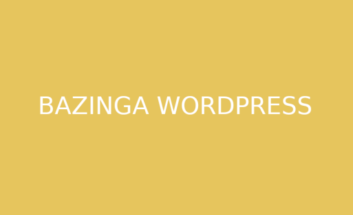 Bazinga - Creative WordPress Theme