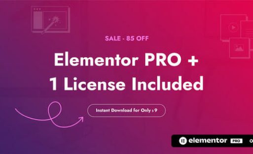 Elementor Pro License